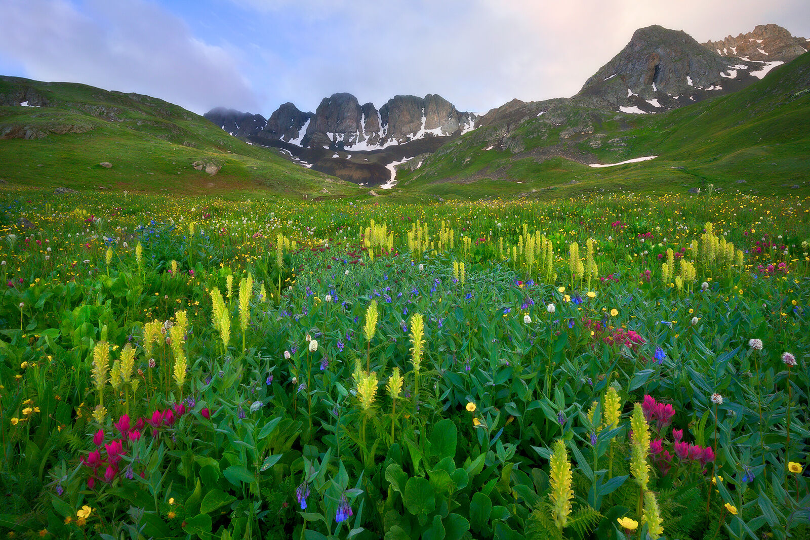 Field of wildflowers in springtime in a basin meadow with rolling hills and mountains in the distance.