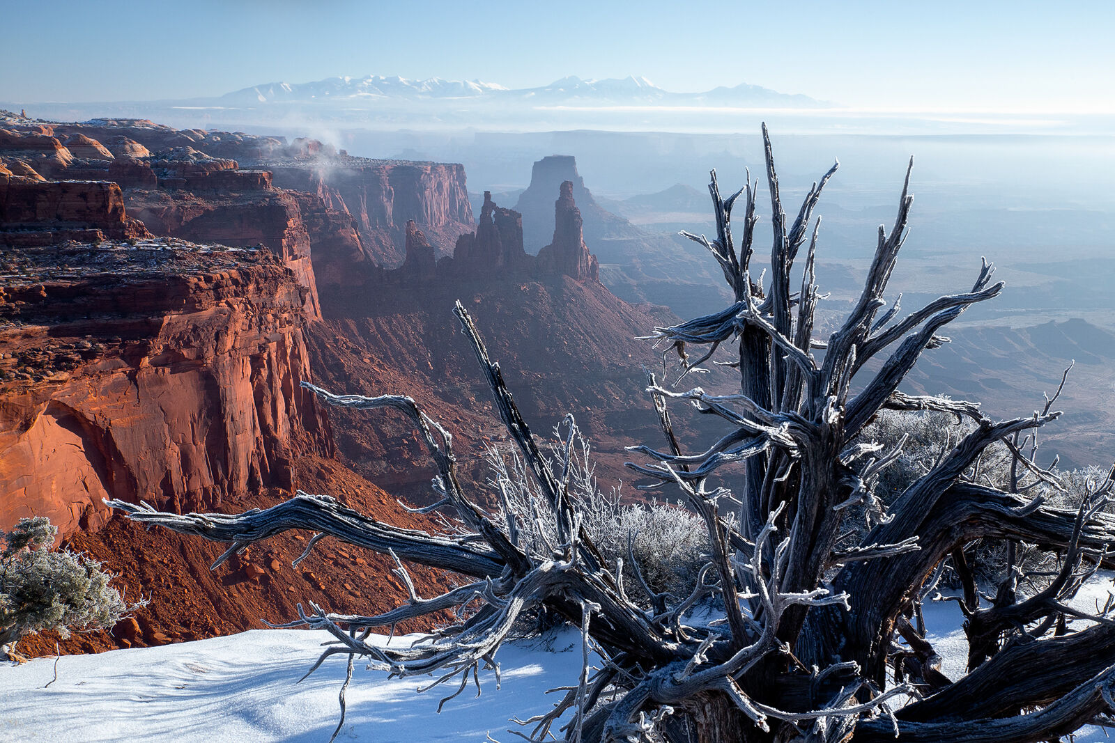 Distant La Sals Canyonlands to the snow capped La Sal Mountains.