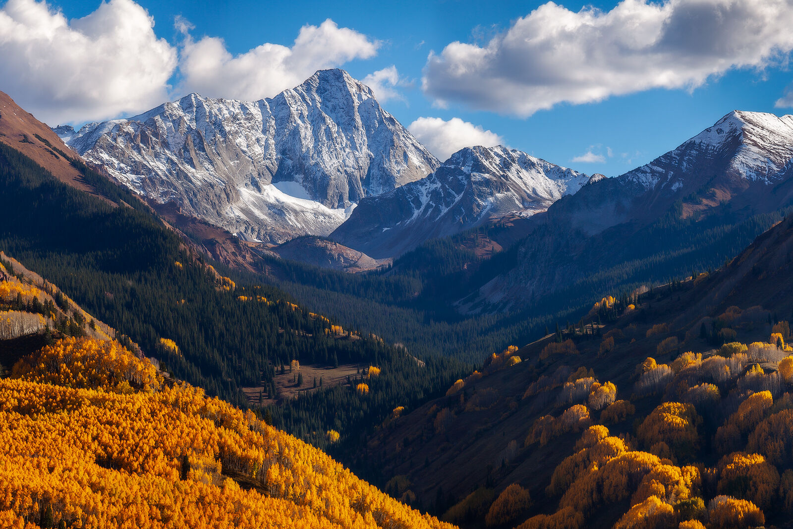 A mountain stands tall in the background with a dusting of snow and fall color aspen trees shine in the sun.