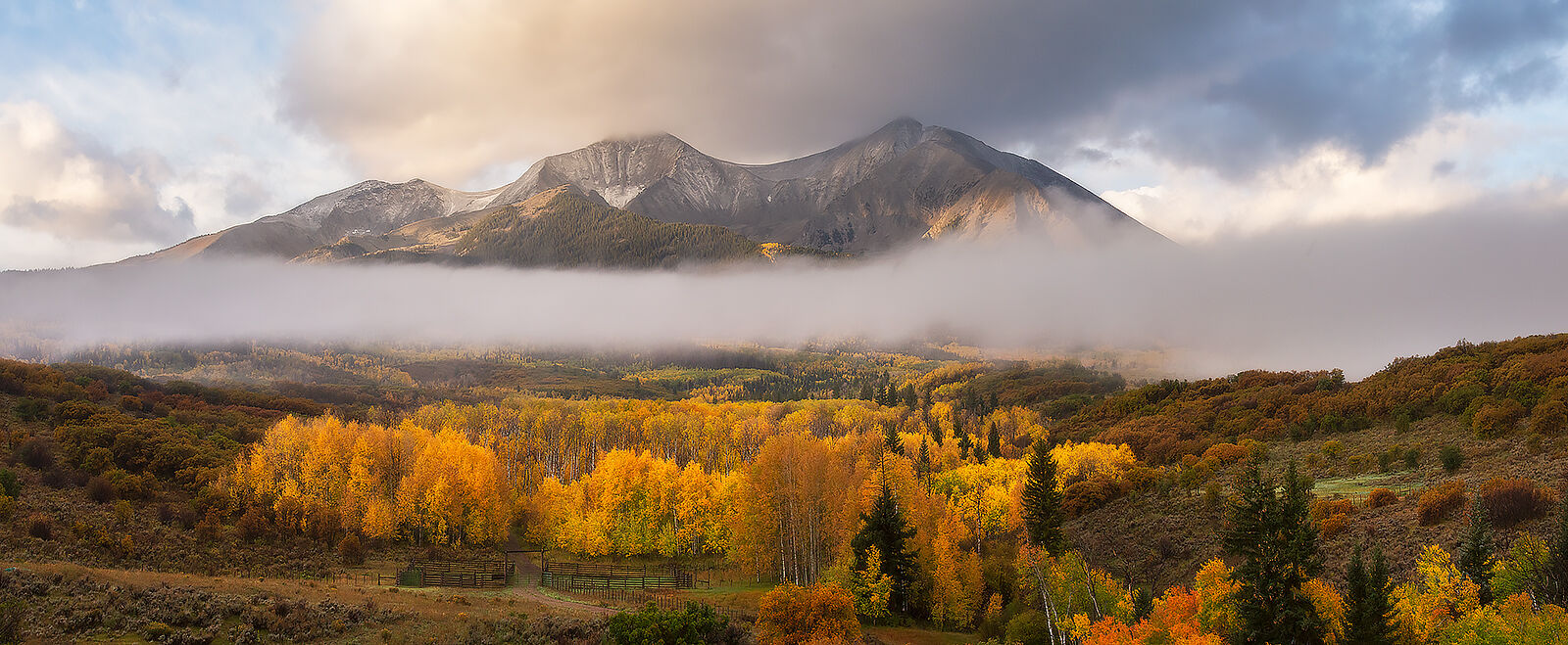 Low clouds hang in front of the mountain peaks as the sun shines on yellow aspen trees below.