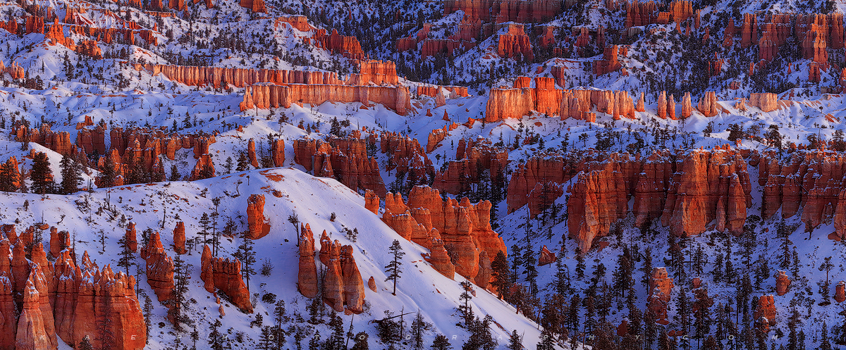 Bryce Fire & Ice Pano