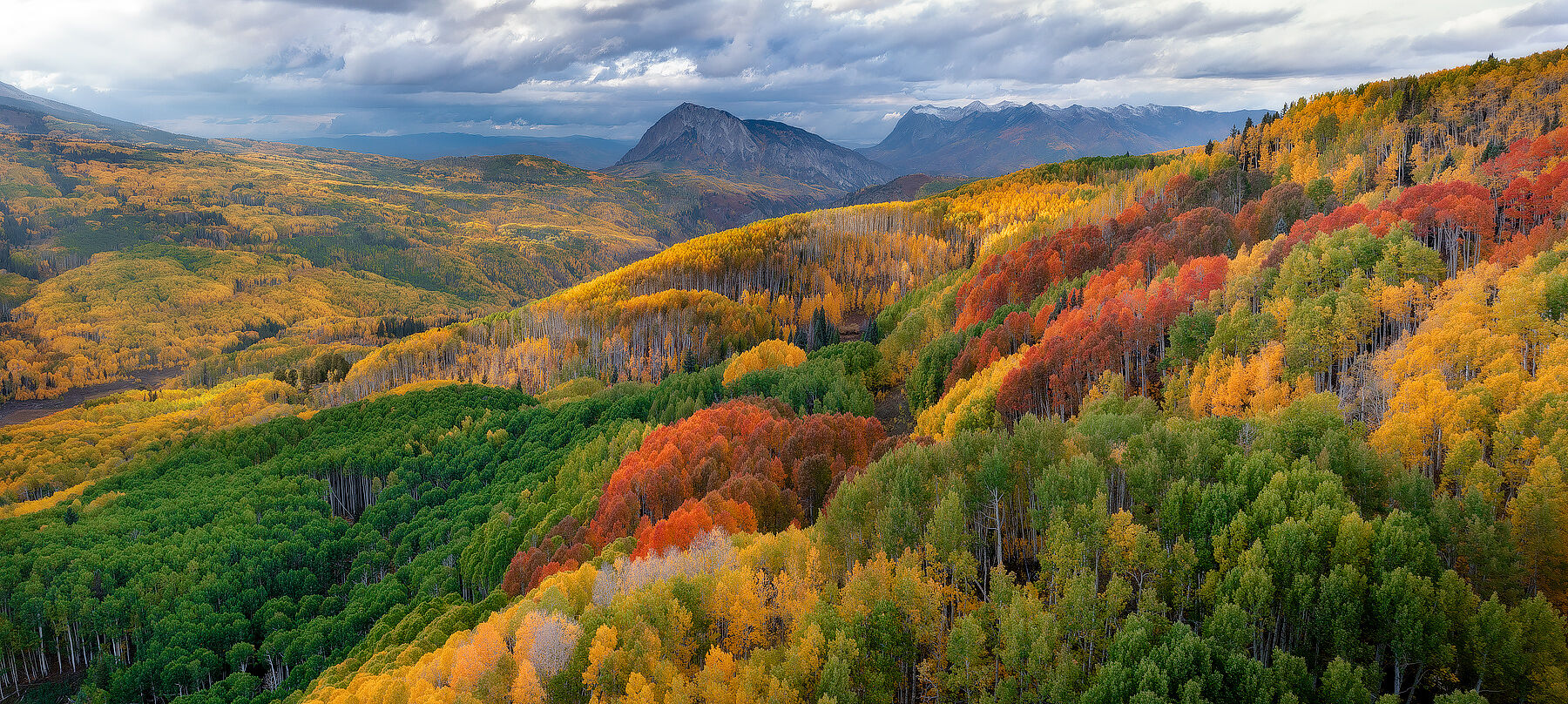 Flowing Aspens Pano