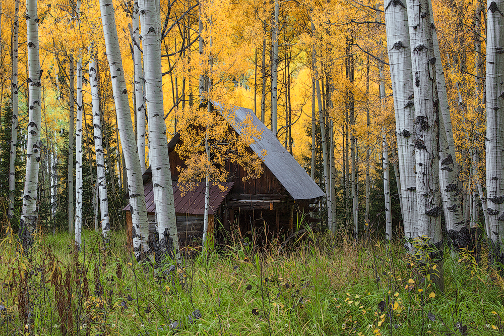Fall Forest Cabin