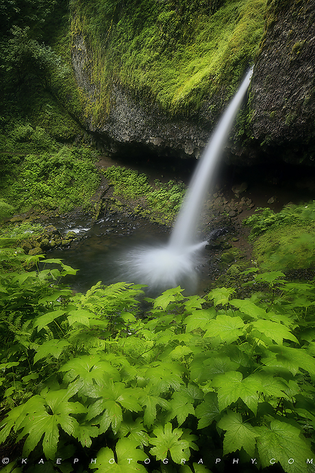 &nbsp;The iconic Ponytail Falls. We had already worked hard that morning at Elowah Falls, when Mark seemed at best, &quot;less...