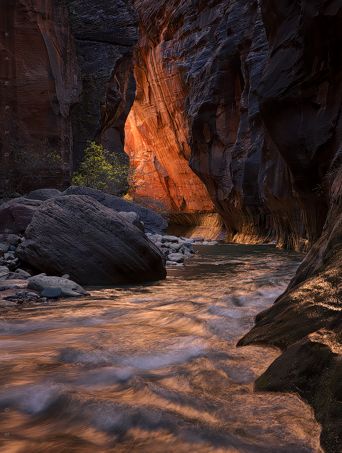 Canyon Fire Zion National Park, Utah Landscape & Nature Photography