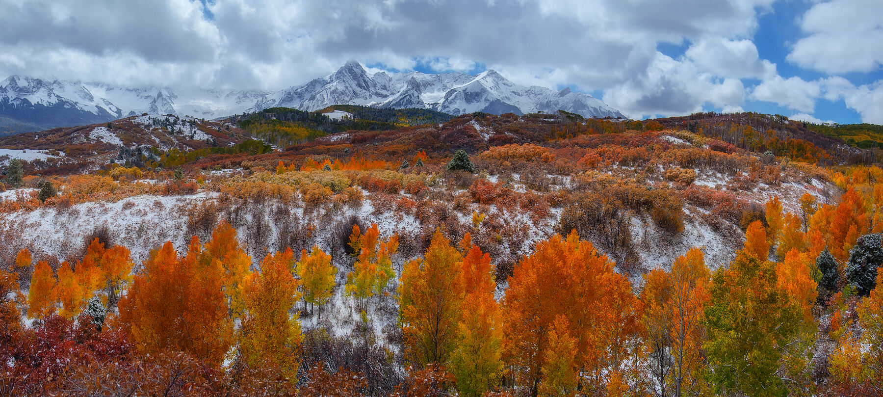 Snow on the distant mountains and in the ground on the valley below provide a contrasting background for the fall colors on the aspen trees.