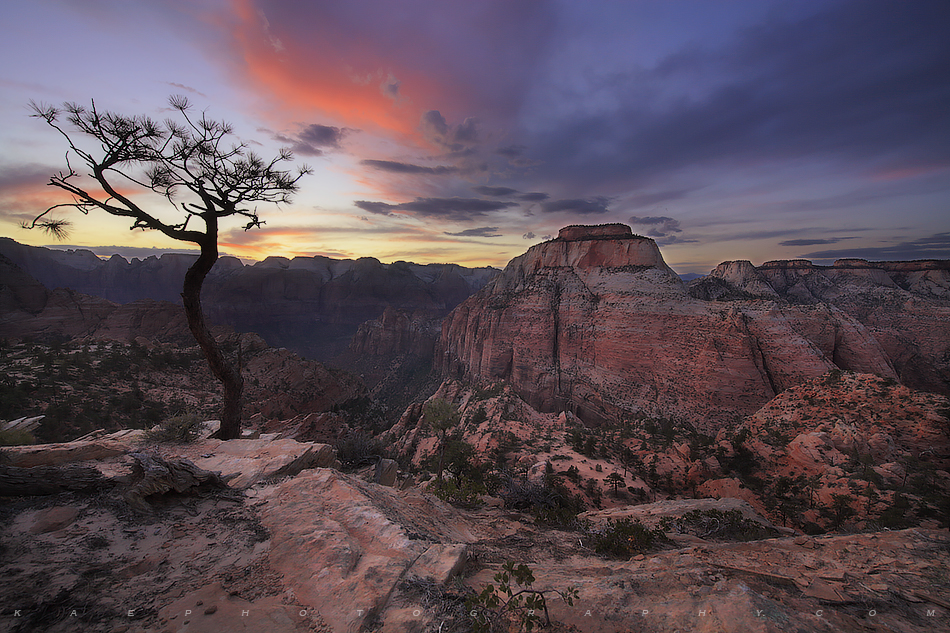 Zion National Park