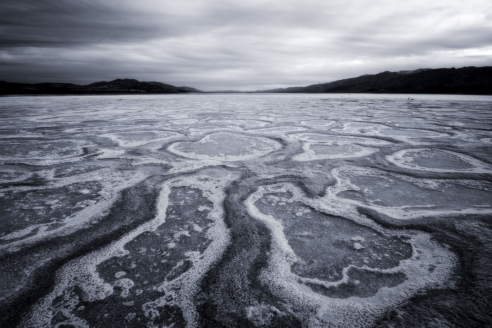 Bleak Beauty
