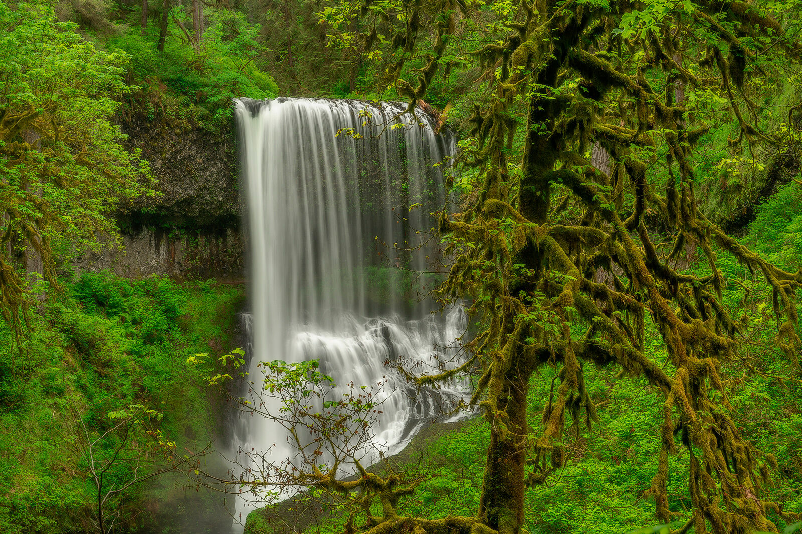 This waterfall in Silver Falls State Park keeps it pretty tidy with its neat, thread-like streams of water but tumbles nearly...