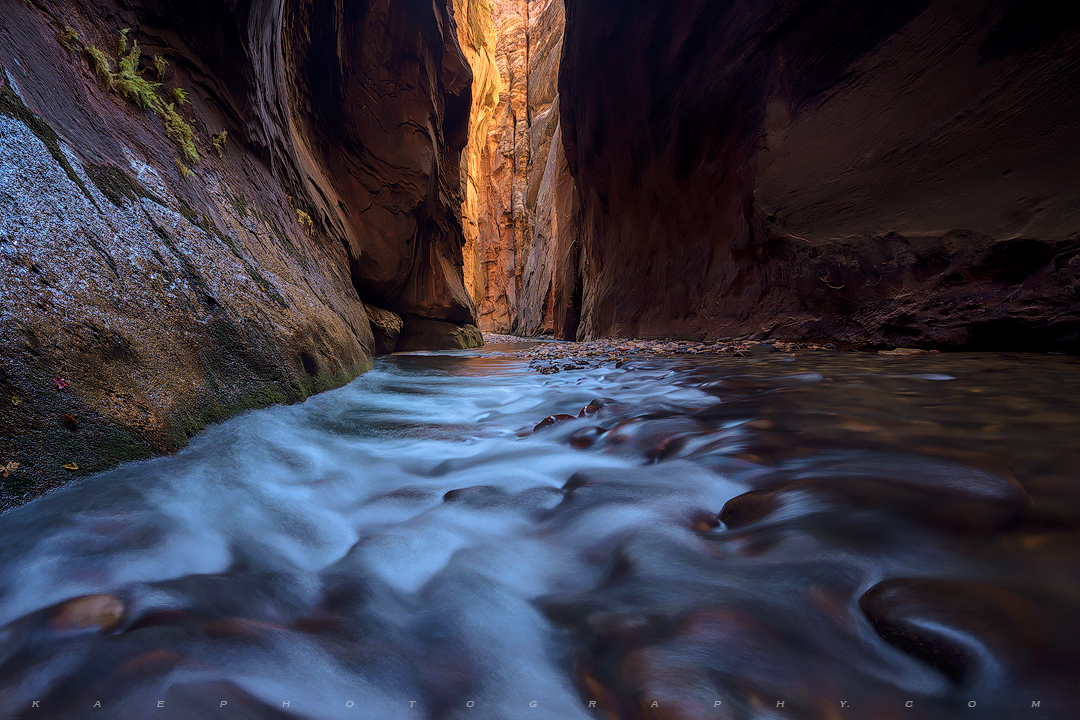 The dark and moody Zion Narrows, flowing well in November.