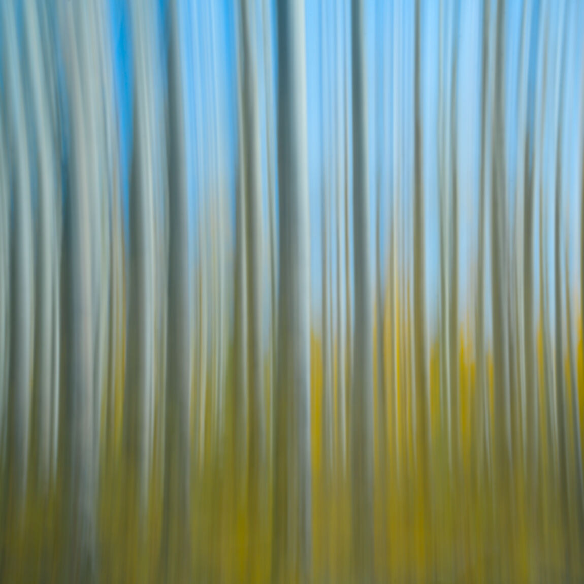 Autumns Abstract Autumns Abstract