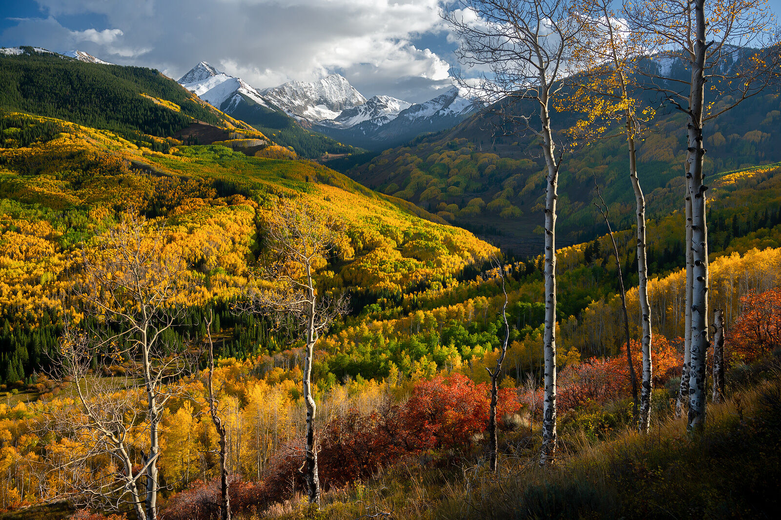 Capitol Creek Bathed in Light | Landscape Photography Images for Sale Mountain capped in snow stands in the background while aspens in fall color glow colors of red, orange and yellow.