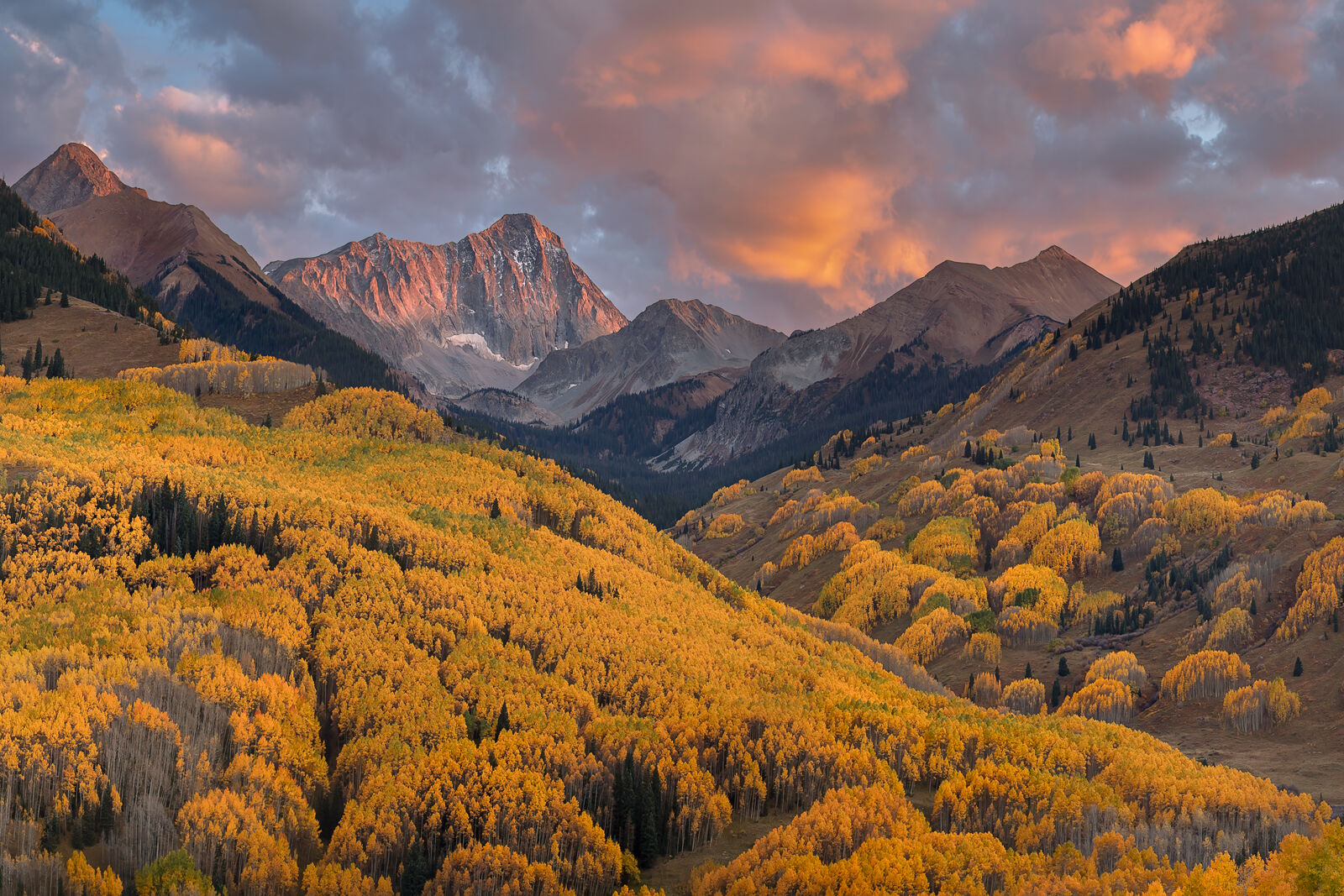 Autumn Fire Golden aspen forests sweep across the Colorado high country beneath rugged mountains illuminated by the last warm light of evening...