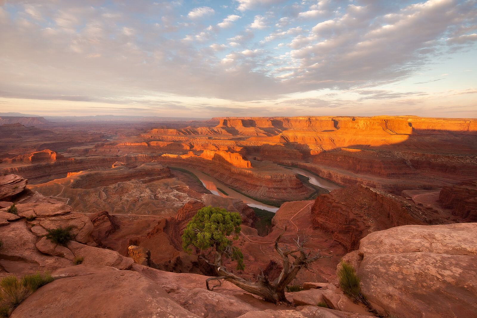 People often confuse Dead Horse Point as part of Canyonlands National Park.  Instead, Dead Horse is its own State Park, run by...