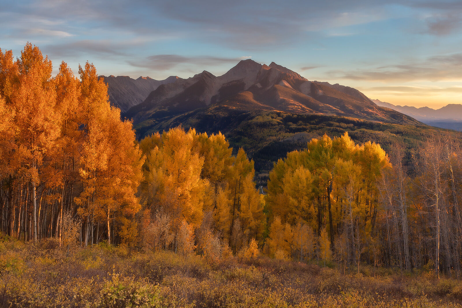 Mountains in the background are lit with sun and the gold leaves on the aspen trees in front of the mountains appear to glow.