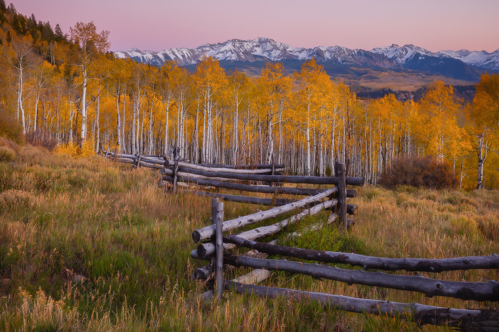 Telluride's Secrets Mountain range dusted with snow, aspen trees in yellow and an old fence line leading into the photo.