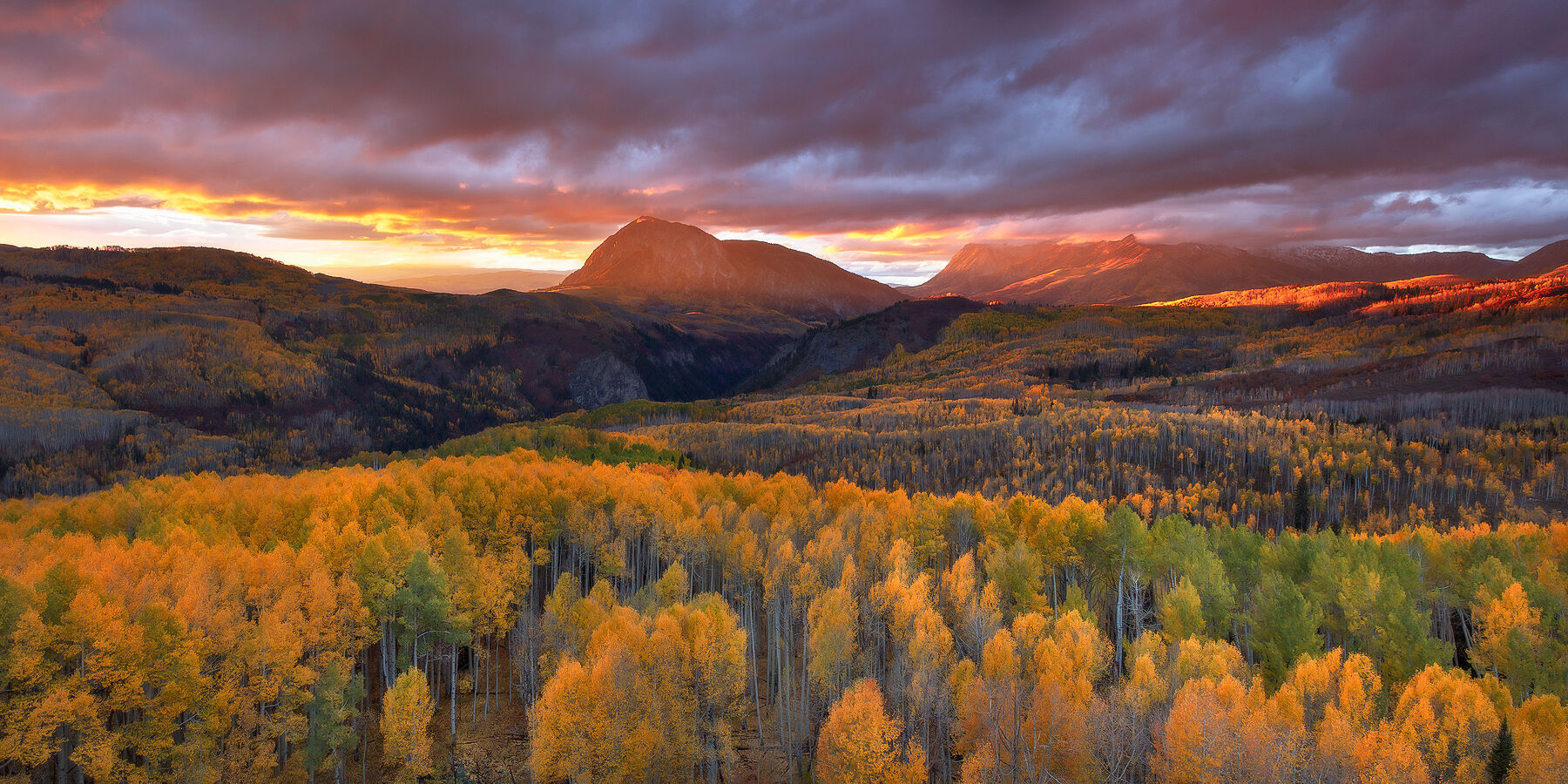 Sunset lights the mountain in the background and the sky up with orange and pinks while the aspen trees in the valley shining bright yellow.