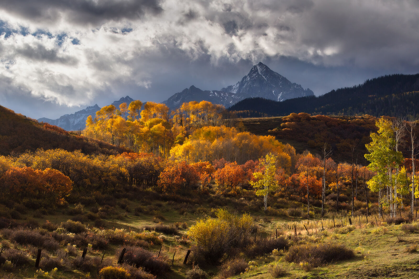 Sunlight casts a spotlight onto the orange and yellow fall color aspen trees with a mountain in the background and some clouds in the sky.