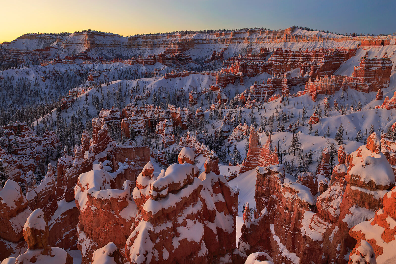Draped in fresh snow, these brilliant orange Bryce Canyon hoodoos glow before sunrise.