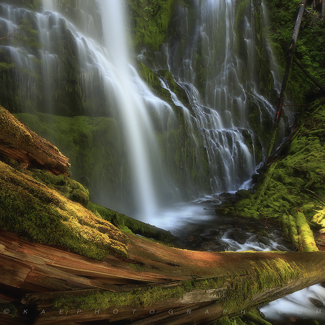 &nbsp;A different perspective of Proxy Falls. I took advantage of the mid morning light to emphasize the beautiful detail in...