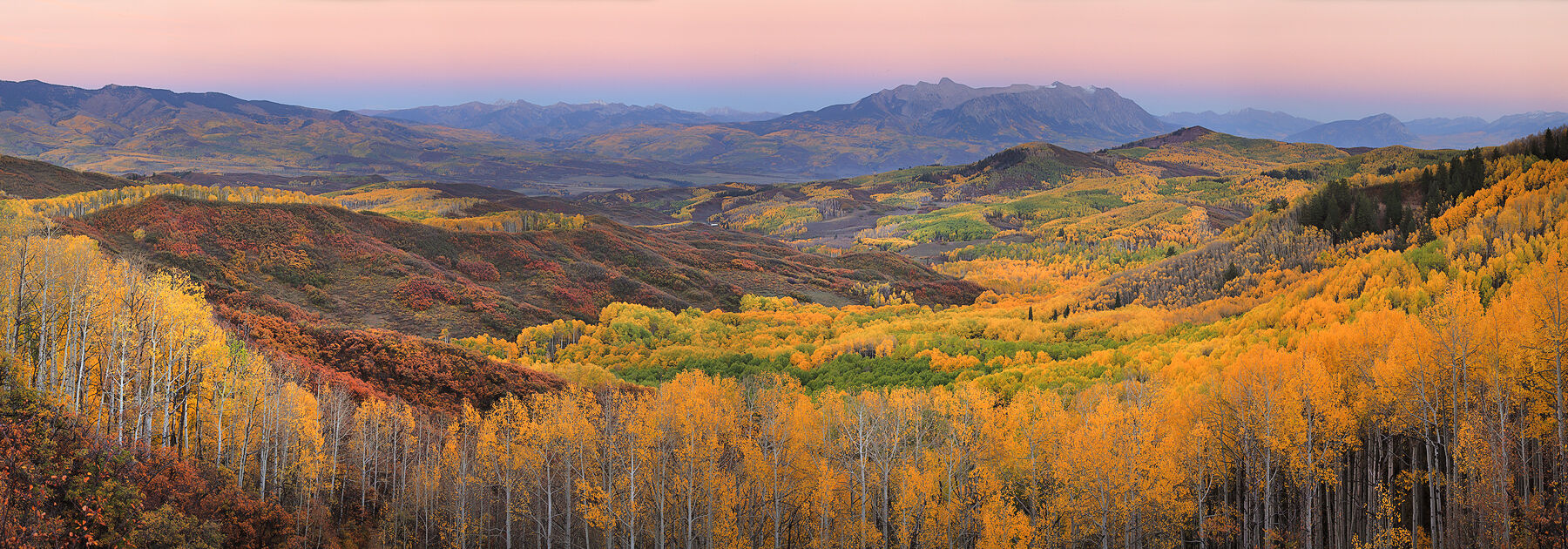 Mountains in the distance sit in a pink orange painted sky as the valley below is filled with yellow, orange and green aspens.