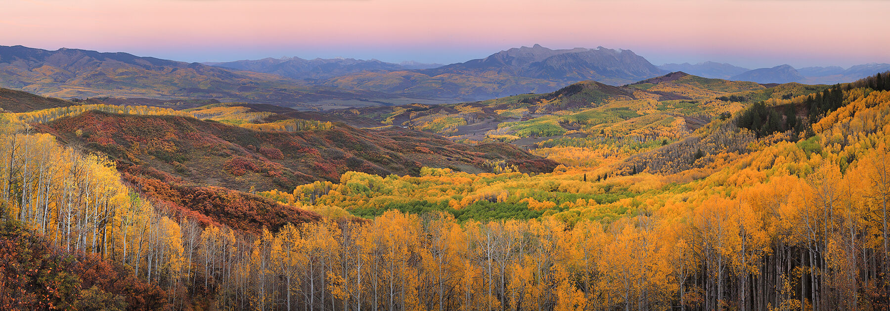 Dusk in the Raggeds Mountains in the distance sit in a pink orange painted sky as the valley below is filled with yellow, orange and green aspens.