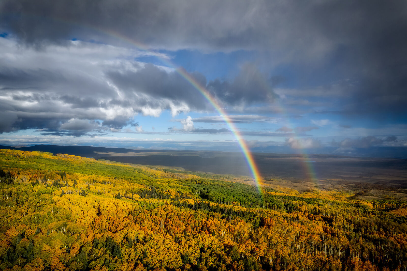 Rainbow above Gold