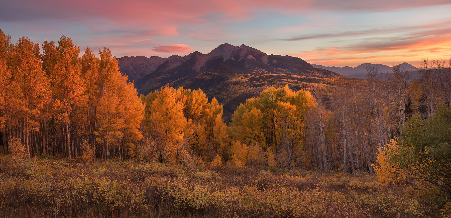 Chair Mountain Sunset Burn Pink clouds in the sky over a mountain that sits behind a row of bright yellow aspen trees in the fall.
